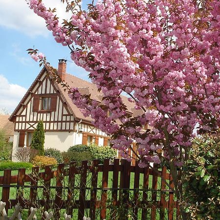 Chambres D'Hotes Au Temps Des Cerises Жум'єж Екстер'єр фото